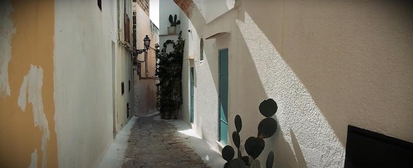 Le Finestre Su Porta Carrese - Luxury Rooms Matino Zewnętrze zdjęcie