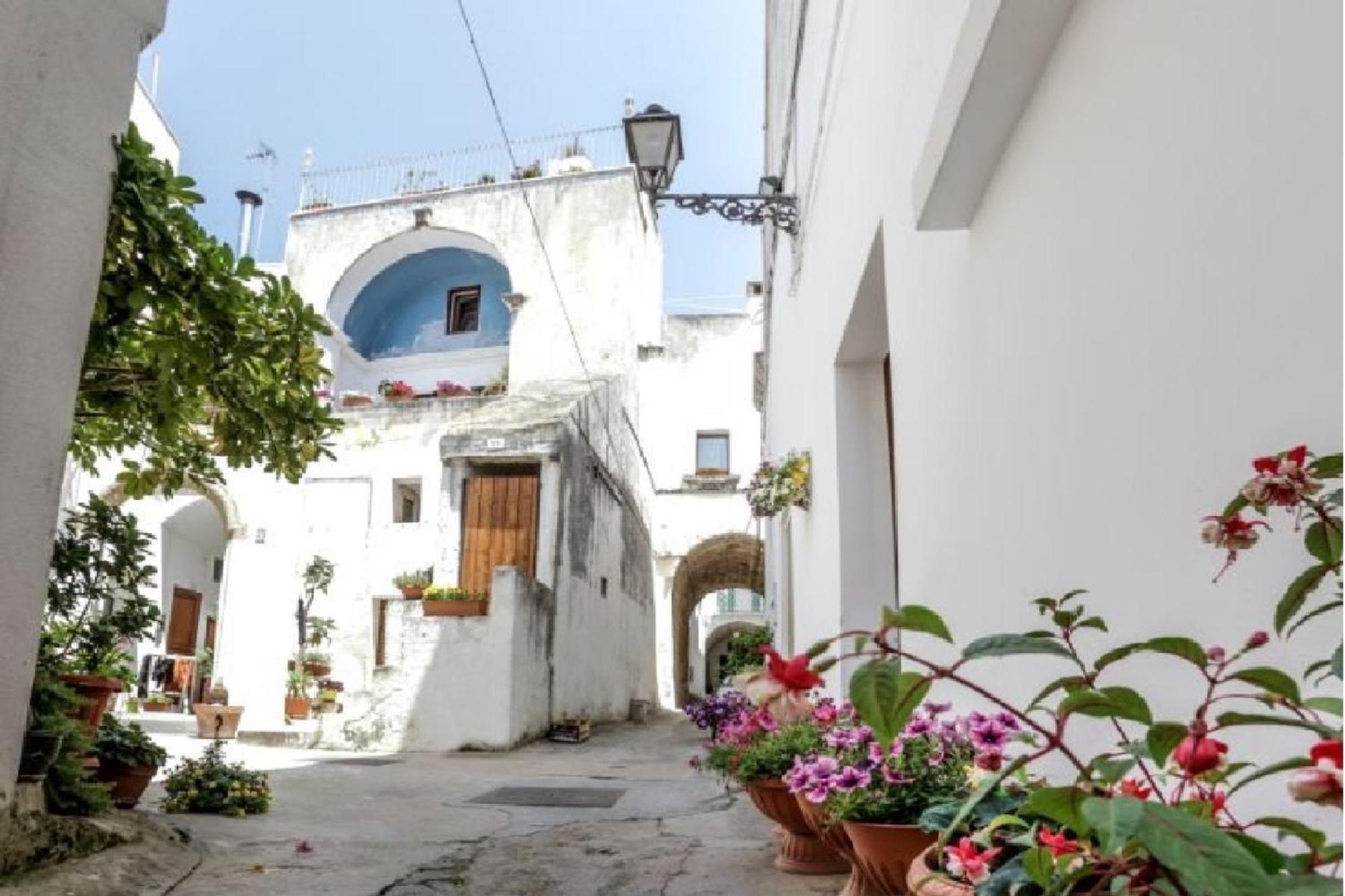 Le Finestre Su Porta Carrese - Luxury Rooms Matino Zewnętrze zdjęcie
